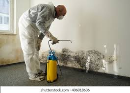 Best Environmental Consulting for Mold Prevention  in Redland, TX